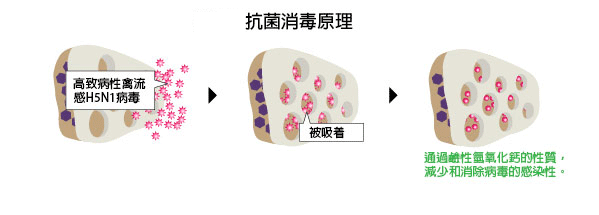 抗菌消毒原理